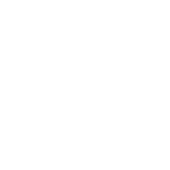 Schottenstein HomesLogo