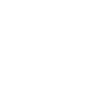 Virginia HomesLogo